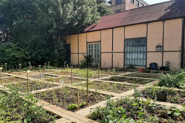 Kampüs içinde bir kent bahçesi: BİLGİ Bahçe